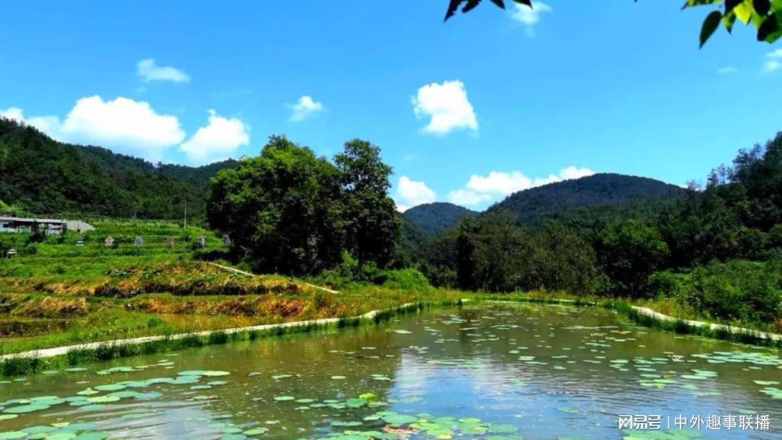 抖音怎样取消双击：应对屏幕意外触碰新技巧指南_微博买fo